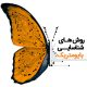 روش های شناسایی بایومتریک